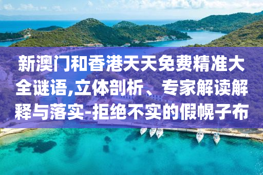 新澳门和香港天天免费精准大全谜语,立体剖析、专家解读解释与落实-拒绝不实的假幌子布